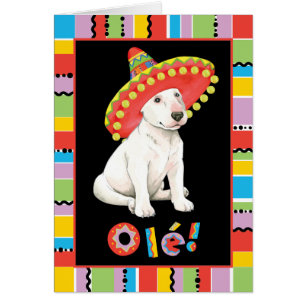 Fiesta Bull Terrier Grußkarte