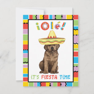 Fiesta Chocolate Labrador Einladung