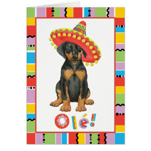 Fiesta Doberman Pinscher
