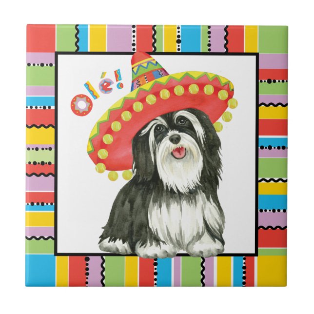 Fiesta Havanese Fliese (Vorderseite)