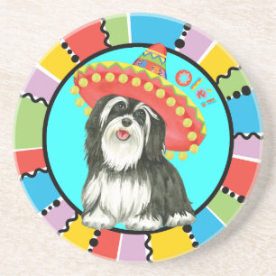 Fiesta Havanese Getränkeuntersetzer