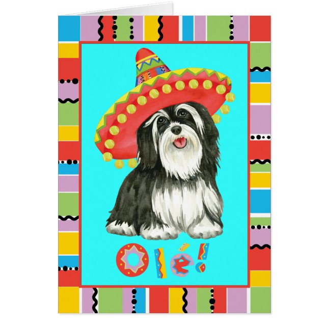 Fiesta Havanese Grußkarte (Vorne)