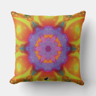 Fiesta Kaleidoscope Pillow Kissen