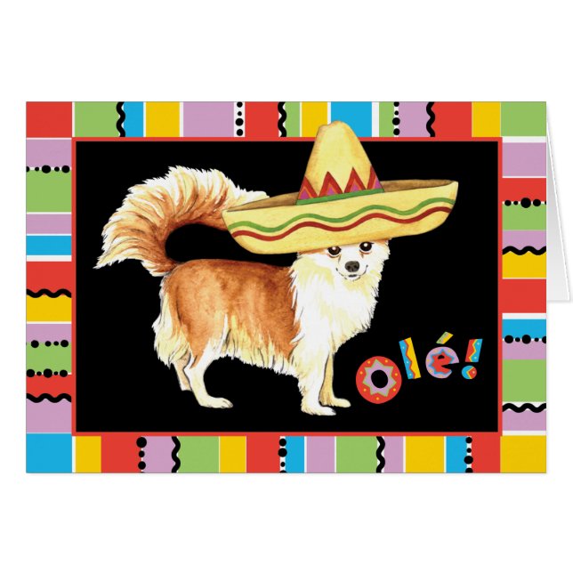 Fiesta Long Coat Chihuahua Grußkarte (Vorderseite (Horizontal))