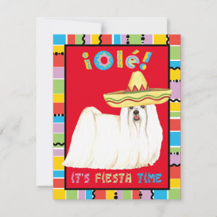 Fiesta Maltese Einladung