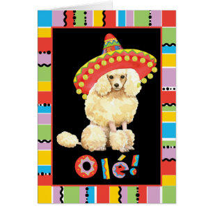 Fiesta Miniature Poodle Card