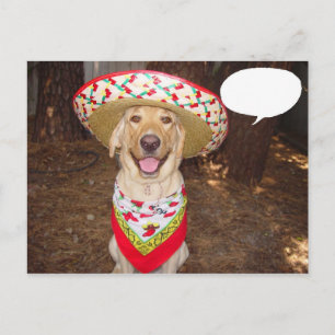 Fiesta Moses Postkarte