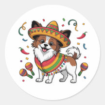 Fiesta Papillon Dog Wearing Sombrero und Sarape