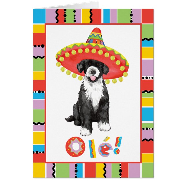 Fiesta PWD (Vorne)