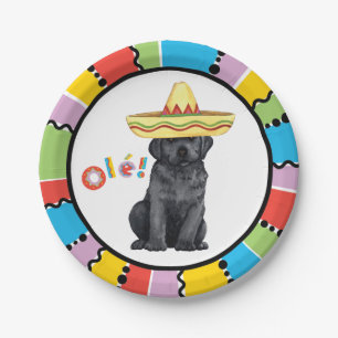 Fiesta Schwarzes Labor Pappteller