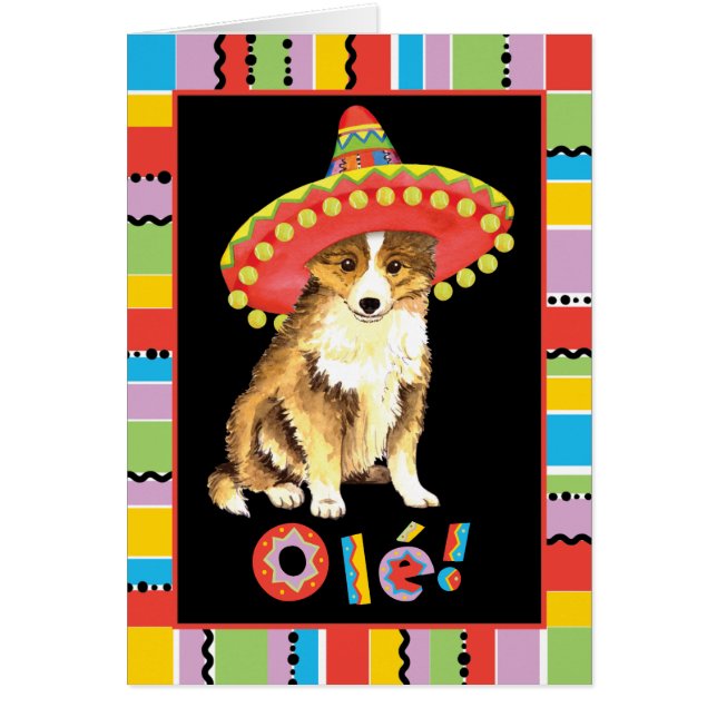 Fiesta Sheltie Card (Vorne)