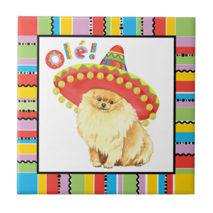 Fiesta Spitz Fliese