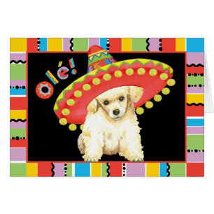 Fiesta Toy Poodle Grußkarte