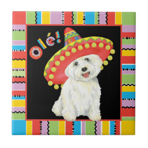 Fiesta Westie Fliese