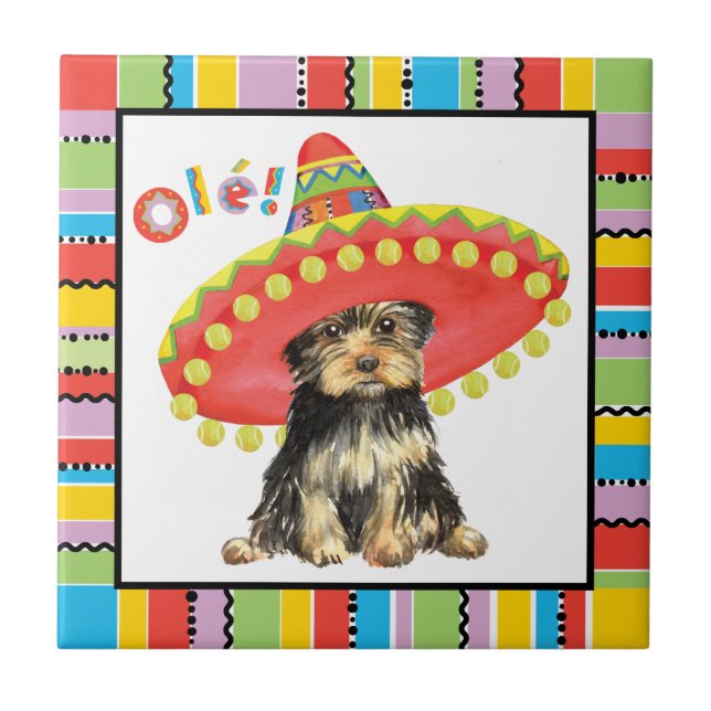 Fiesta Yorkie Fliese (Vorderseite)