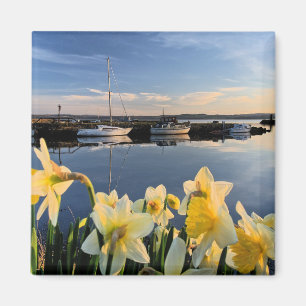 Fife, landschaftliches Foto aus Schottland Magnet
