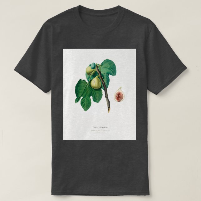 Fig Fico Troiano aus Pomona Italiana 1817 1839 T-Shirt (Design vorne)