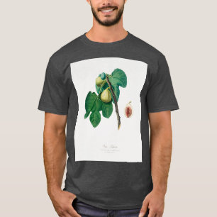 Fig Fico Troiano aus Pomona Italiana 1817 1839 T-Shirt