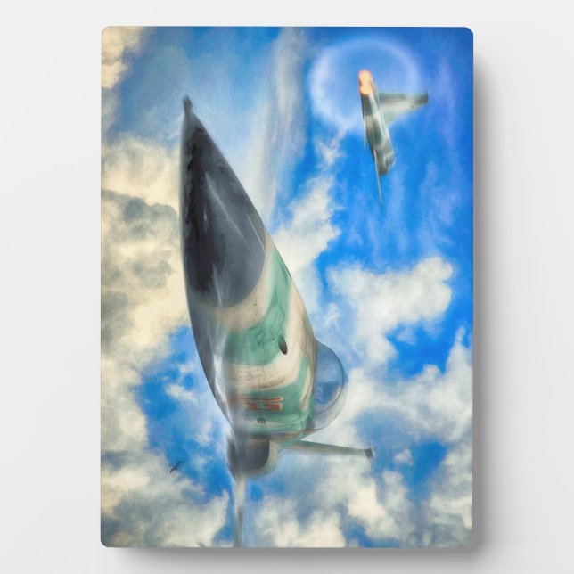 FIGHTER JET GOOPERSONIC F-5N Tiger II Fotoplatte (Vorderseite)