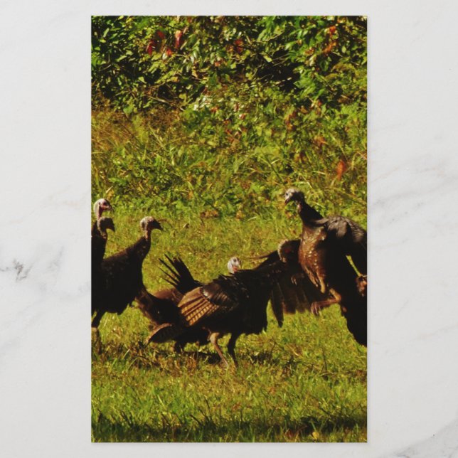 Fighting Wild Turkeys in the Smoky Mountains Briefpapier (Vorderseite)