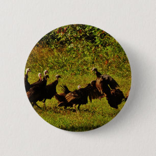 Fighting Wild Turkeys in the Smoky Mountains Button