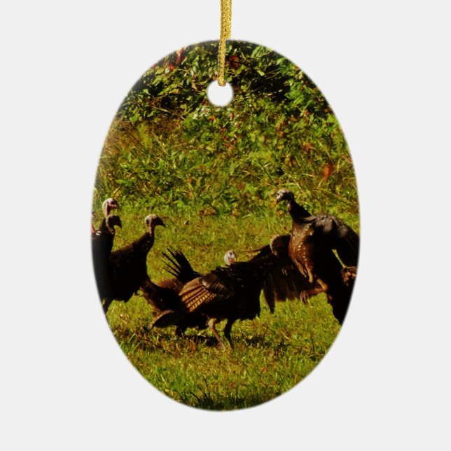 Fighting Wild Turkeys in the Smoky Mountains Keramikornament (Vorne)