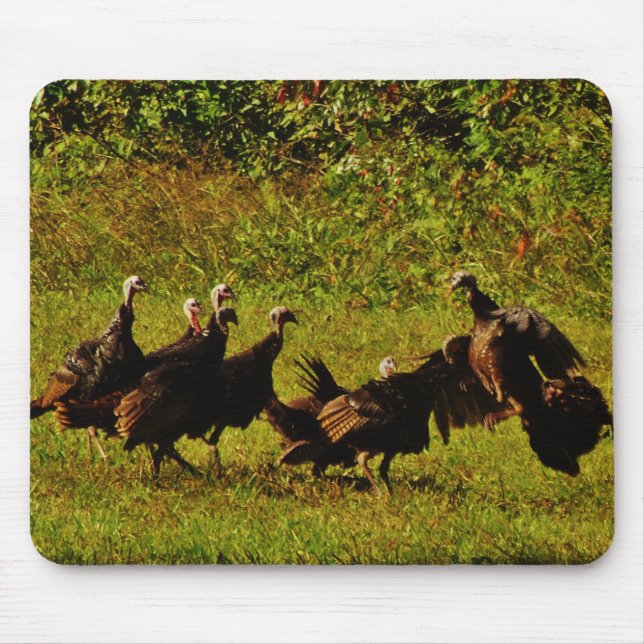 Fighting Wild Turkeys in the Smoky Mountains Mousepad (Vorne)
