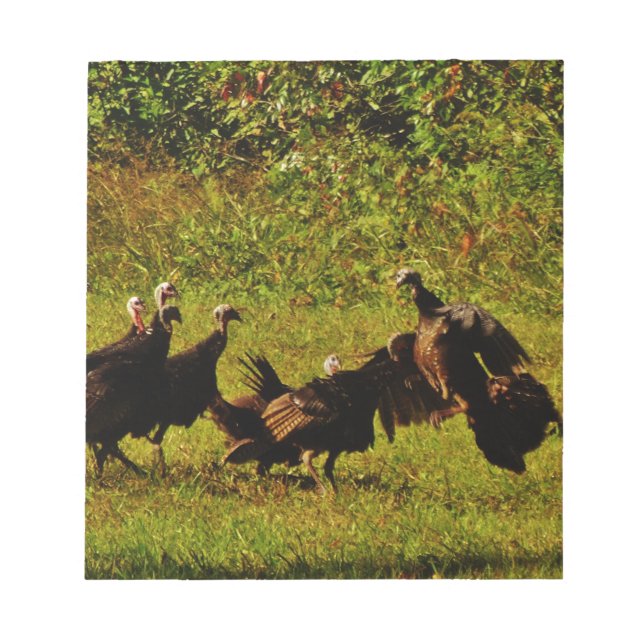 Fighting Wild Turkeys in the Smoky Mountains Notizblock (Vorderseite)