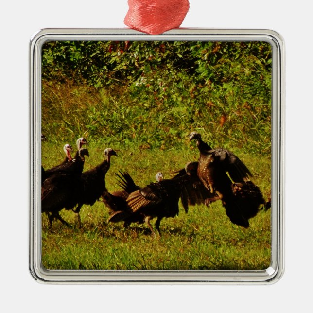 Fighting Wild Turkeys in the Smoky Mountains Silbernes Ornament (Vorne)