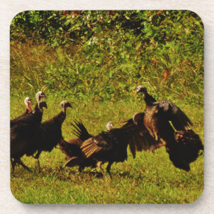 Fighting Wild Turkeys in the Smoky Mountains Untersetzer