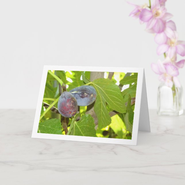 Figs on Tree Portrait Karte (Orchidee)