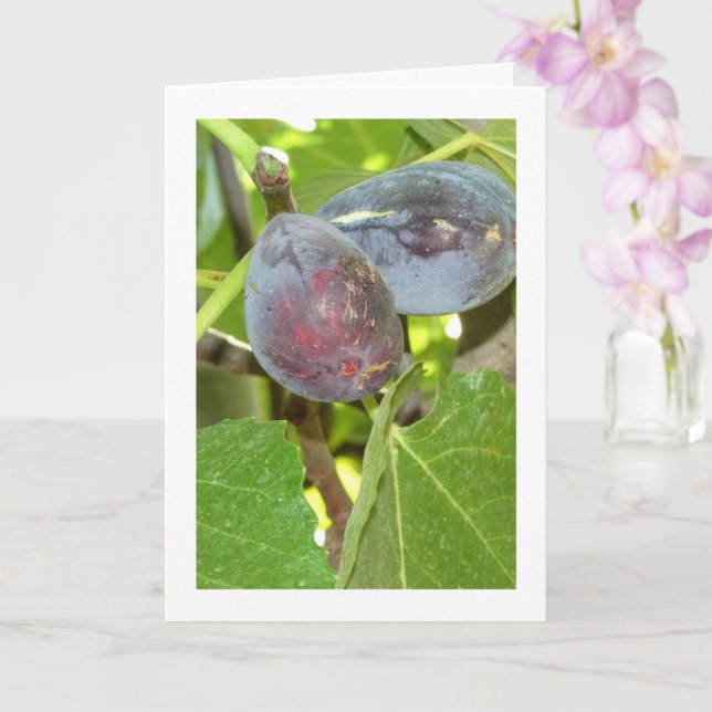Figs on Tree Portrait Karte (Orchidee)