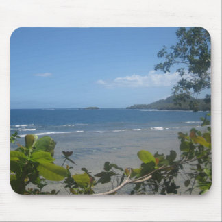 Fijian Coast Mousepad