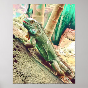 Fijian Iguana-Eidechsenreptil Poster