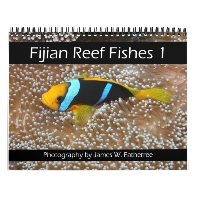 Fijian Reef Fish Calendar 1 Kalender (Titelbild)
