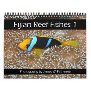 Fijian Reef Fish Calendar 1 Kalender