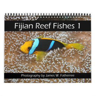 Fijian Reef Fish Calendar 1 Kalender