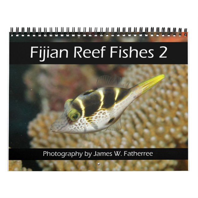 Fijian Reef Fish Calendar 2 Kalender (Titelbild)