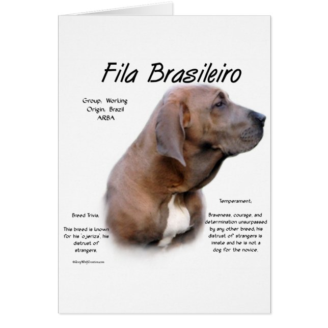 Fila Brasileiro Historisches Design (Vorne)