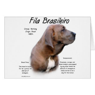 Fila Brasileiro Historisches Design