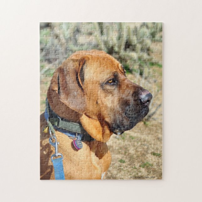 Fila Brasiliero Mastiff Jigsaw Puzzle (Vertikal)