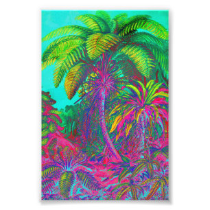 Filicinae Bäume und Farne Fotodruck