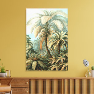 Filicinae von Ernst Haeckel, alte Farnpflanzen Leinwanddruck