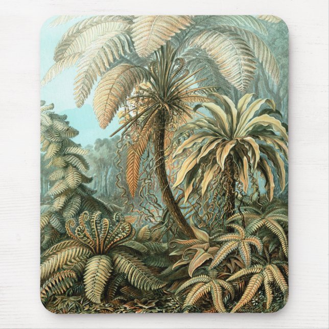 Filicinae von Ernst Haeckel, Vintage französische  Mousepad (Vorne)