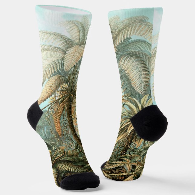 Filicinae von Ernst Haeckel, Vintage französische  Socken (Gewinkelt)