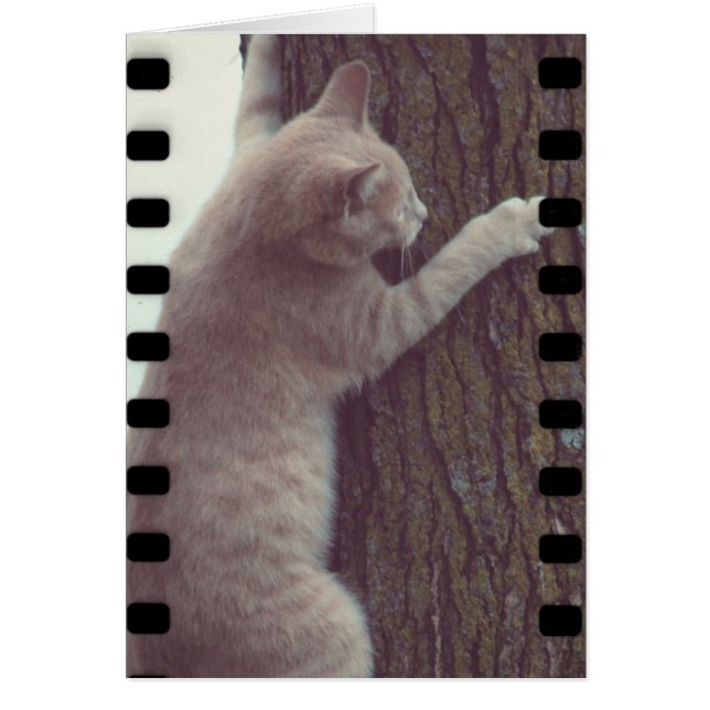 Film Racker (Vorne)