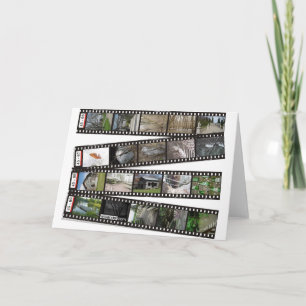 Film Strip 2003-04 Greeting Card Karte