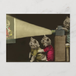 Filmnacht Postkarte