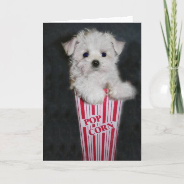 Filmnachtsgrüße Karte (Vorderseite)