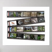 Filmstreifen 2003-2004 Wandausgabe